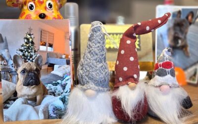 NOËL chez K’animals